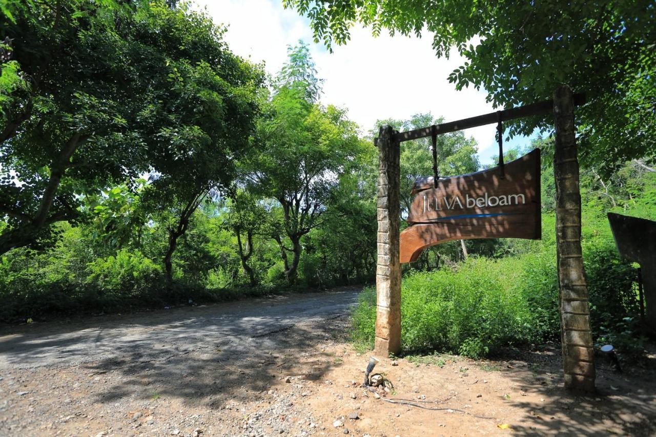 Jeeva Beloam Beach Camp Tanjung Ringgit Εξωτερικό φωτογραφία